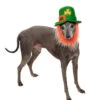 Leprechaun Hut Mit Bart Für Hunde 1 Leprechaun Hut Mit Bart Für Hunde -Karneval Kostüm Laden st patricks day hut mit bart fuer hunde st patricks day hat with beard pet costume 27514