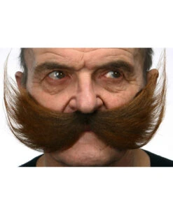 Brauner Schnauzer XXL