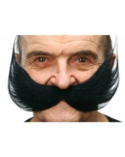 Schwarzer XXL Schnauzer