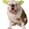 Hunde & Katzen Haarreif Mit Yoda Ohren 1 Hunde & Katzen Haarreif Mit Yoda Ohren -Karneval Kostüm Laden yoda ohren fuer hunde und katzen faschingskostueme fuer tiere star wars tierkostueme 27505